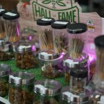 Cannabis retailers